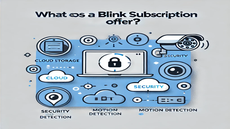 What Does a Blink Subscription Offer