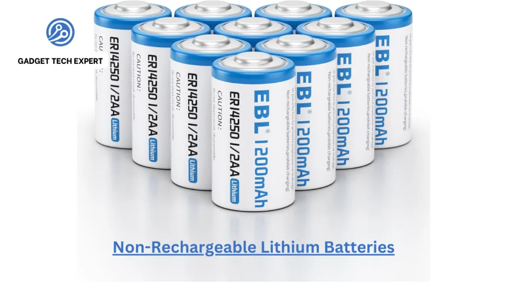 Non-Rechargeable Lithium Batteries